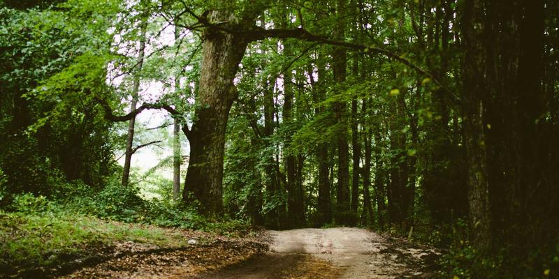 5G时代网络科技赋能智慧城市：鑫尔网在网站开发与数字营销中的核心应用