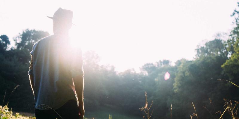 互联网服务与数字营销如何赋能智慧农业？鑫尔网解析物联网传感器与大数据平台的精准种植实践