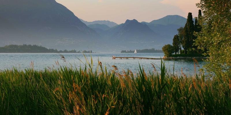 区块链技术如何重塑网络安全与信任体系：技术咨询与网络科技的未来