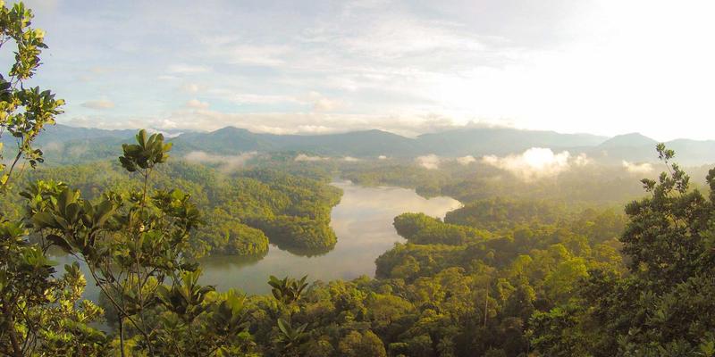 技术咨询揭秘：大数据分析如何驱动互联网服务网络流量优化