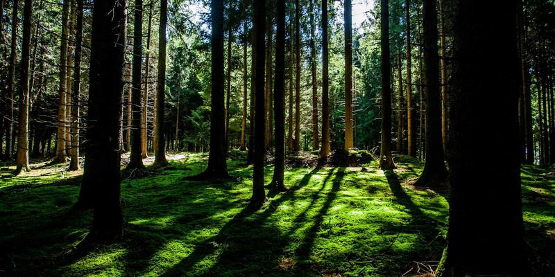 技术咨询视角：软件定义网络（SDN）如何重构企业数据中心架构，赋能数字营销与网站开发