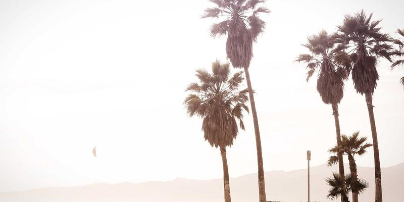 技术咨询驱动变革：网络科技如何重塑金融行业网络安全新范式