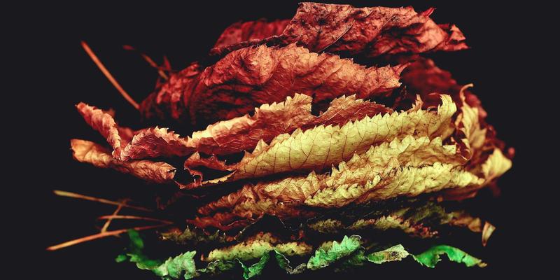 数字营销新阵地：物联网技术如何驱动家居网络智能化与网站开发变革