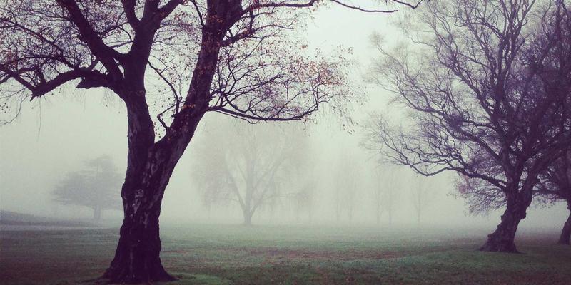 网络即服务(NaaS)模型：鑫尔网引领企业实现灵活弹性的互联网服务与云计算融合