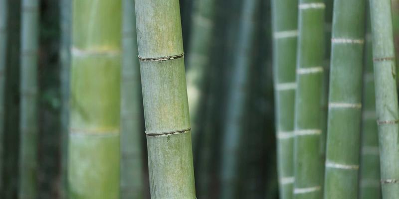 网络科技36：云计算、技术咨询与网站开发的融合创新