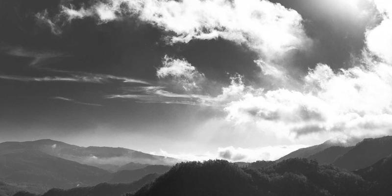 网络科技67：技术咨询如何驱动数字营销的智能变革