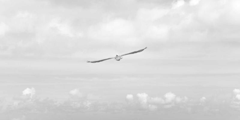 网络科技95：解码互联网服务与数字营销的融合新范式