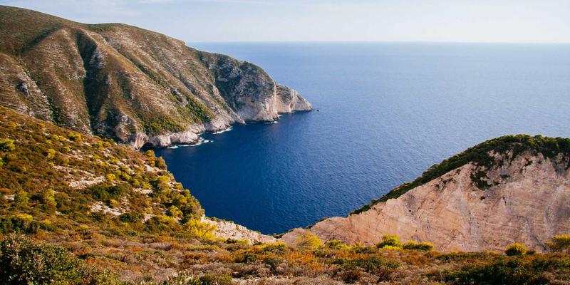 网络科技双引擎：网站开发与数字营销如何重塑商业未来