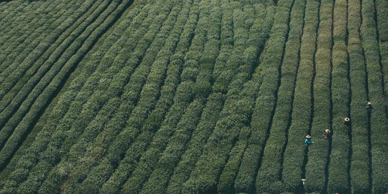 网络科技应用三大支柱：互联网服务、网站开发与数字营销的协同进化