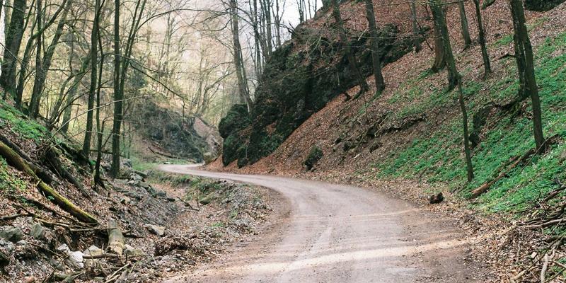 网络科技新浪潮：云计算如何重塑互联网服务新格局