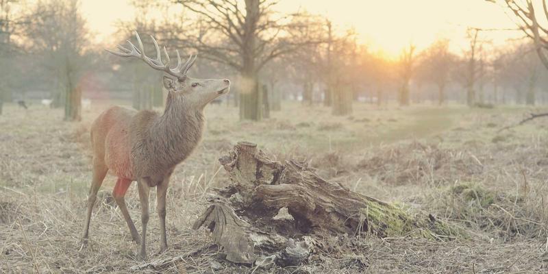 网络科技进阶：技术咨询、云计算与数字营销的融合之道