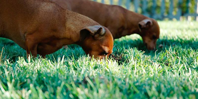 网络科技驱动未来交通：C-V2X技术与边缘计算节点的协同部署如何重塑车联网生态