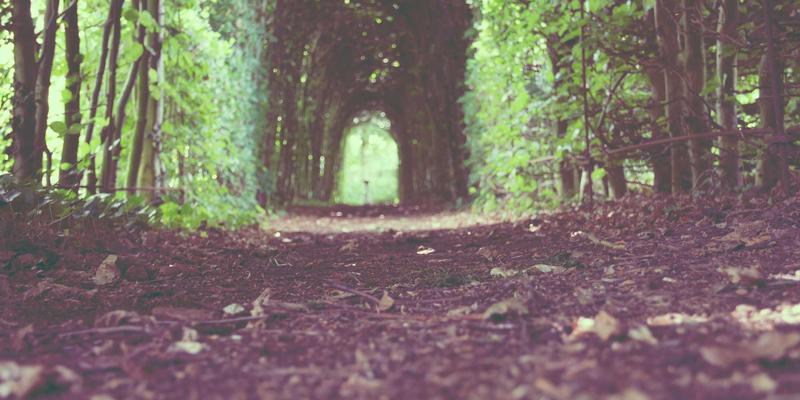 边缘计算与5G融合：鑫尔网解析下一代低延迟应用场景与网站开发变革