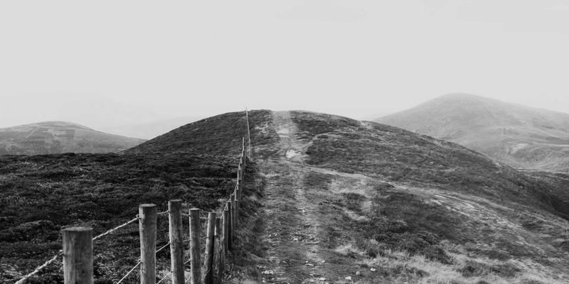 鑫尔网：专业网站开发与技术咨询如何赋能企业数字化转型