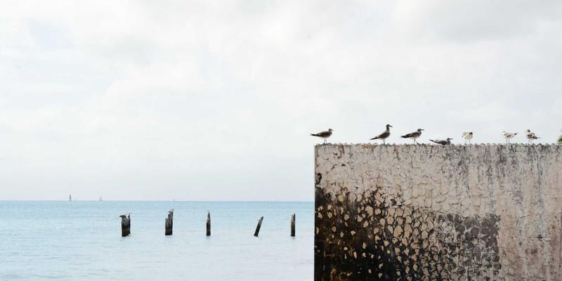 鑫尔网引领云计算新变革：意图驱动网络如何重塑互联网服务配置与管理