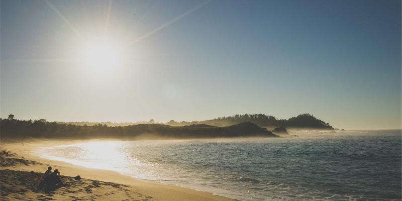 鑫尔网网络科技解析：SD-WAN如何重塑跨国企业网站开发与全球连接